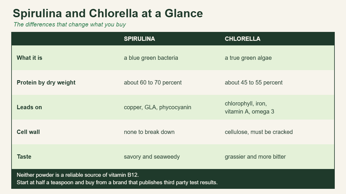 A comparison table of spirulina and chlorella showing protein, nutrients, cell wall and taste